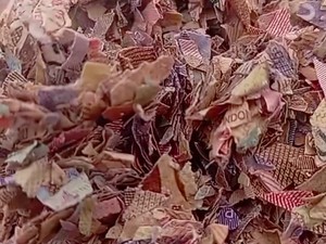 Kagetnya Warga Lihat Hamparan Cacahan Kertas Diduga Uang di TPS Bekasi