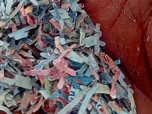 Misteri Cacahan Duit Rp 100 Ribu di TPS Liar Bekasi