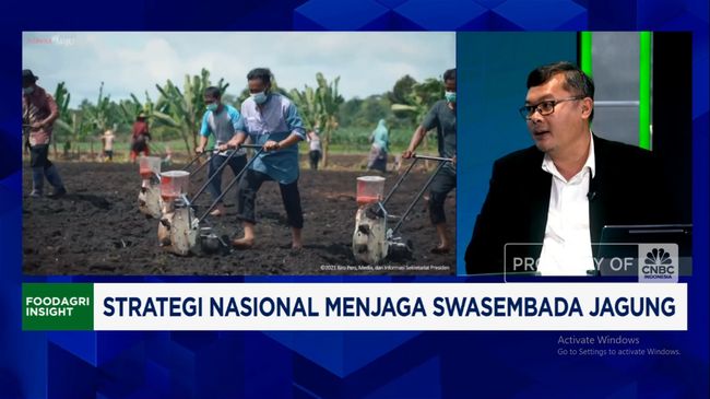 Video: Jurus Kemantan Genjot Produksi Jagung dan Sejahterakan Petani