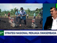 Video: Jurus Kemantan Genjot Produksi Jagung & Sejahterakan Petani