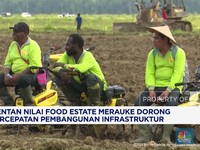 Video: Mentan: Food Estate Merauke Dorong Pembangunan Infrastruktur