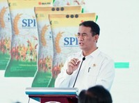 Food Estate Merauke Bakal Jadi Motor Ketahanan Pangan, Ini Kata Mentan