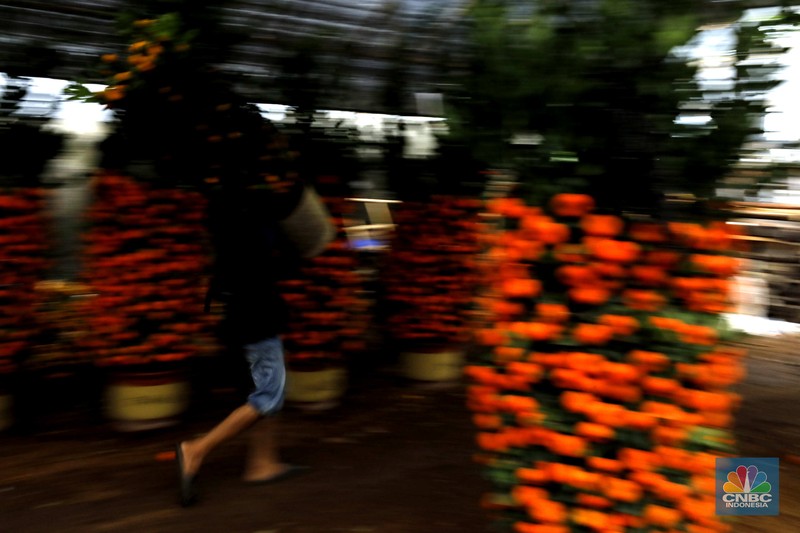 Penjualan pohon jeruk Kimkit dan Chusa yang dijual di kawasan Meruya, Jakarta, Selasa (3/2/2026). (CNBC Indonesia/Tri Susilo)