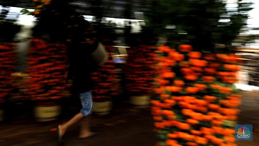 Penjualan pohon jeruk Kimkit dan Chusa yang dijual di kawasan Meruya, Jakarta, Selasa (3/2/2026). (CNBC Indonesia/Tri Susilo)