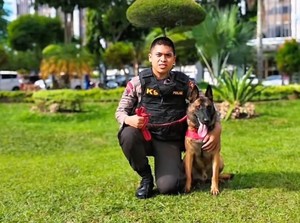 Reno K9 Polda Riau Terima Medali Vira Satya, Award Perdana Polri ke Satwa