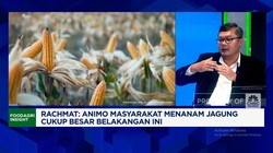 Video: Jaga Swasembada Jagung, RI Incar Produksi 18 Juta Ton di 2026
