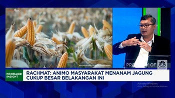 Video: Jaga Swasembada Jagung, RI Incar Produksi 18 Juta Ton di 2026