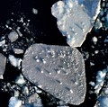 Sebuah bongkahan es mengapung di perairan laut dekat Nuuk, Greenland, 30 Januari 2026. REUTERS/Fedja Grulovic