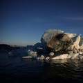 Sebuah bongkahan es mengapung di perairan laut dekat Nuuk, Greenland, 30 Januari 2026. REUTERS/Stoyan Nenov