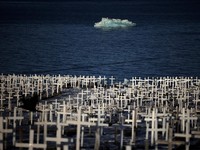 Sebuah bongkahan es mengapung di perairan laut dekat Nuuk, Greenland, 30 Januari 2026. REUTERS/Stoyan Nenov