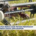 Video: Serapan Beras Dari Petani Meningkat, RI Membuka Opsi Ekspor