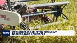 Video: Serapan Beras Dari Petani Meningkat, RI Membuka Opsi Ekspor
