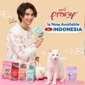 Kucing Influencer Meninggal, Netizen Ramai-ramai Berduka