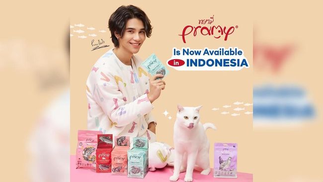 Kucing Influencer Meninggal, Netizen Ramai-ramai Berduka