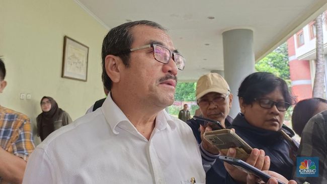 DEN Sebut B40 Sudah Paling Pas, Produksi Sawit-Insentif Kurang?