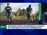 Video: Dukung Swasembada, Industri Perbenihan Hadapi Aturan 