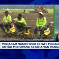Video: Food Estate Merauke, Apa Efeknya ke Warga & Ekonomi Daerah?