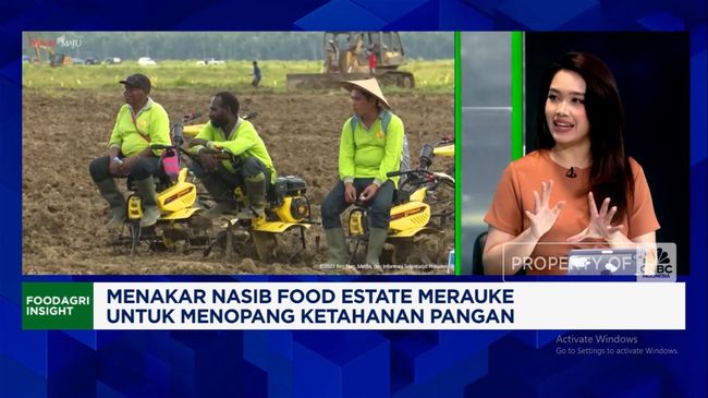 Video: Food Estate Merauke, Apa Efeknya ke Warga dan Ekonomi Daerah?