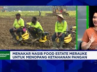 Video: Food Estate Merauke, Apa Efeknya ke Warga & Ekonomi Daerah?