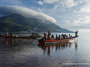 Harta Karun Keanekaragaman Hayati di Maluku Barat Daya