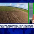 Video:Uji Kekuatan Proyek Food Estate Merauke Dukung Swasembada Pangan