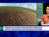 Video:Uji Kekuatan Proyek Food Estate Merauke Dukung Swasembada Pangan