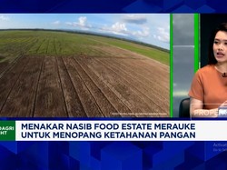Video:Uji Kekuatan Proyek Food Estate Merauke Dukung Swasembada Pangan