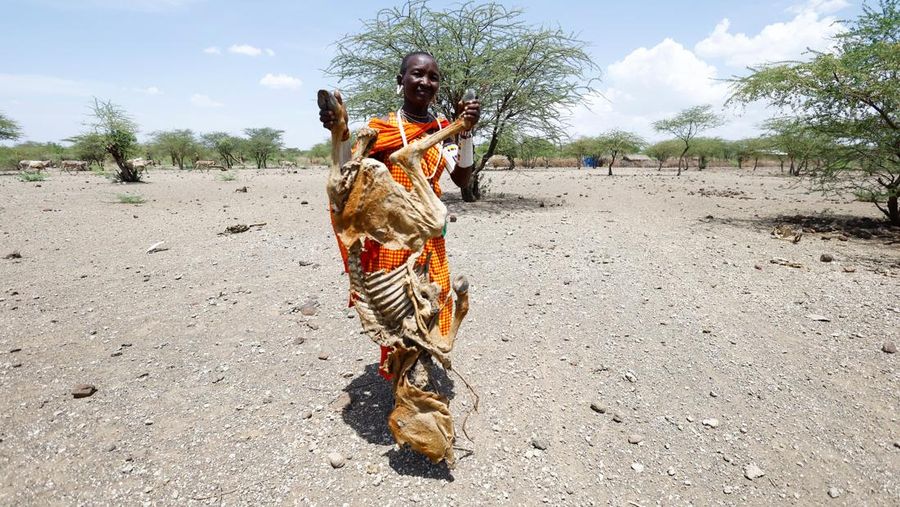 Bangkai sapi yang mati akibat kekeringan yang semakin parah karena gagalnya musim hujan, berserakan di pemukiman desa dekat kota Magadi di sepanjang perbatasan Kenya-Tanzania, di Kajiado, Kenya, 5 Februari 2026. (REUTERS/Thomas Mukoya)