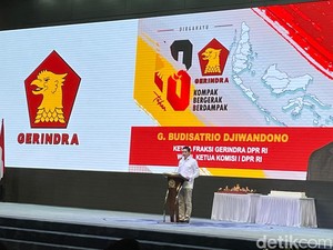 Budi Djiwandono Ungkap Modal Menuju Indonesia Emas 2045 di HUT Gerindra