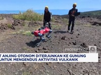 Video: Robot Anjing Otonom Diterjunkan ke Gunung Etna