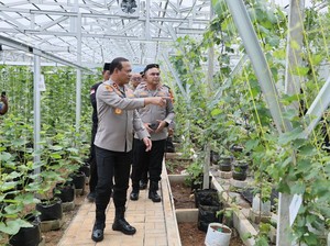 Dukung Kemandirian Pangan, Kapolda Metro Tinjau Green House di Bekasi