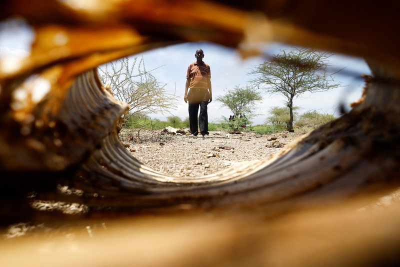 Bangkai sapi yang mati akibat kekeringan yang semakin parah karena gagalnya musim hujan, berserakan di pemukiman desa dekat kota Magadi di sepanjang perbatasan Kenya-Tanzania, di Kajiado, Kenya, 5 Februari 2026. (REUTERS/Thomas Mukoya)
