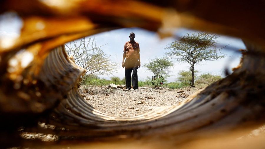 Bangkai sapi yang mati akibat kekeringan yang semakin parah karena gagalnya musim hujan, berserakan di pemukiman desa dekat kota Magadi di sepanjang perbatasan Kenya-Tanzania, di Kajiado, Kenya, 5 Februari 2026. (REUTERS/Thomas Mukoya)