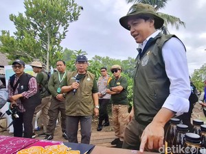 Menhut Bantah Isu Lahan Tambak Diambil Negara Usai Ditanami Mangrove