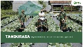 Menanam Harapan: TANDURASA dan Jalan Sunyi Entaskan Kemiskinan Petani