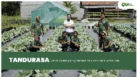 Menanam Harapan: TANDURASA dan Jalan Sunyi Entaskan Kemiskinan Petani