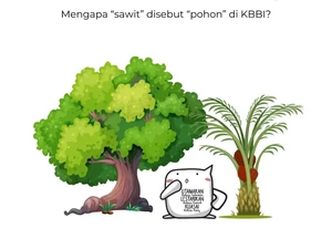 Arti Sawit Berubah dari Tanaman Jadi Pohon di KBBI, Badan Bahasa Beri Penjelasan