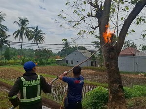 Akhir Teror Makhluk Berbulu di Kuningan