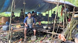 Soal Bukaan Lahan Punan Batu, Dishut Kaltara: Kami Sudah Tegur