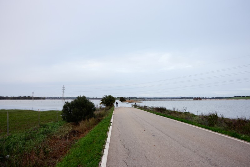 A drone view shows an isolated farm, surrounded by water, where ten thoroughbred horses and some dogs, which have gone for two days without being fed, wait for help, due to the Guadalete River overflowing, after heavy rains, as Storm Marta hits parts of Spain, in Jerez de la Frontera, Spain, February 8, 2026. REUTERS/Guillermo Martinez