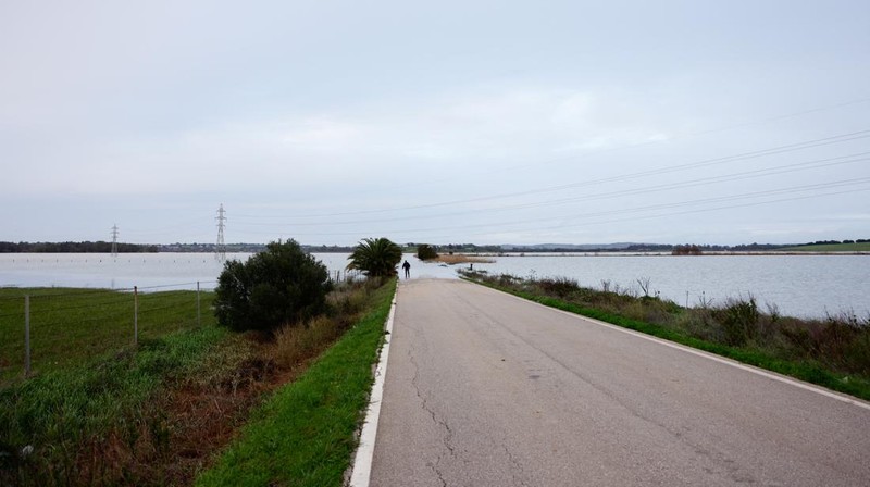 A drone view shows an isolated farm, surrounded by water, where ten thoroughbred horses and some dogs, which have gone for two days without being fed, wait for help, due to the Guadalete River overflowing, after heavy rains, as Storm Marta hits parts of Spain, in Jerez de la Frontera, Spain, February 8, 2026. REUTERS/Guillermo Martinez