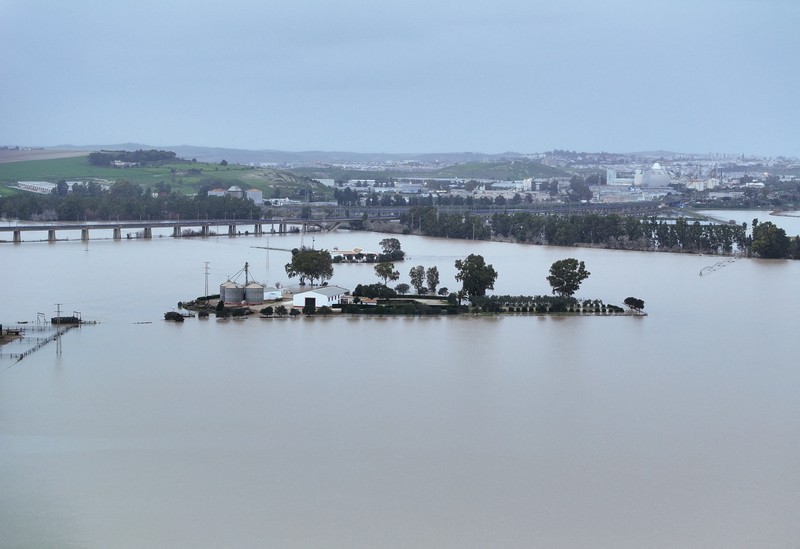 A drone view shows an isolated farm, surrounded by water, where ten thoroughbred horses and some dogs, which have gone for two days without being fed, wait for help, due to the Guadalete River overflowing, after heavy rains, as Storm Marta hits parts of Spain, in Jerez de la Frontera, Spain, February 8, 2026. REUTERS/Guillermo Martinez