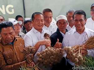 Mentan Targetkan 50 Ribu Hektare Lahan di Sembalun Lombok Ditanam Bawang Putih