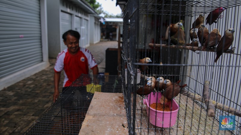 Suasana aktivitas jual-beli di Sentra Fauna dan Kuliner Lenteng Agung, Jakarta, Senin (9/2/2026). (CNBC Indonesia/Faisal Rahman)