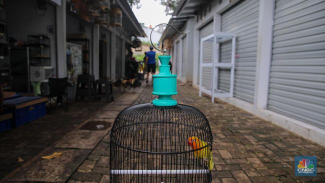 Potret Pedagang Eks Pasar Barito Jualan di 'LA', Sewa Gratis 6 Bulan