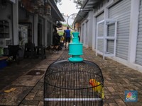 Potret Pedagang Eks Pasar Barito Jualan di 'LA', Sewa Gratis 6 Bulan