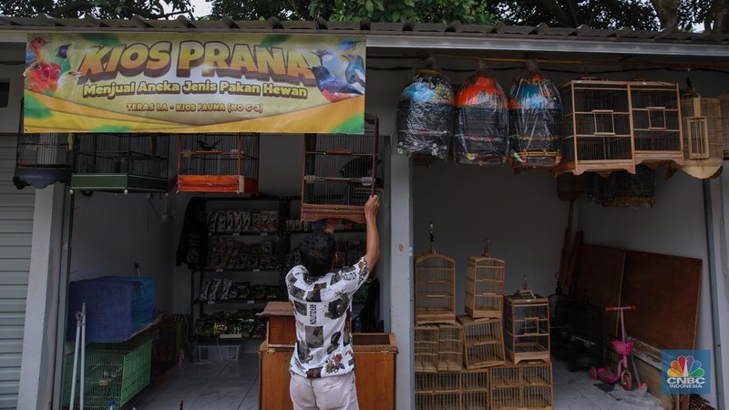 Suasana aktivitas jual-beli di Sentra Fauna dan Kuliner Lenteng Agung, Jakarta, Senin (9/2/2026). (CNBC Indonesia/Faisal Rahman)