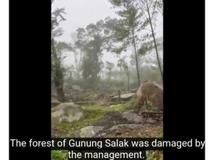 Gunung Salak Menangis, Yuddy Chrisnandi Desak Prabowo Turun Tangan