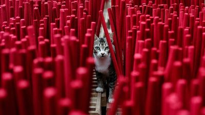 Produksi Dupa Meningkat Jelang Imlek