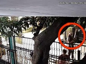 Remaja Diduga Bawa Senpi Saat Tawuran di Makassar, Polisi: Senjata Mainan